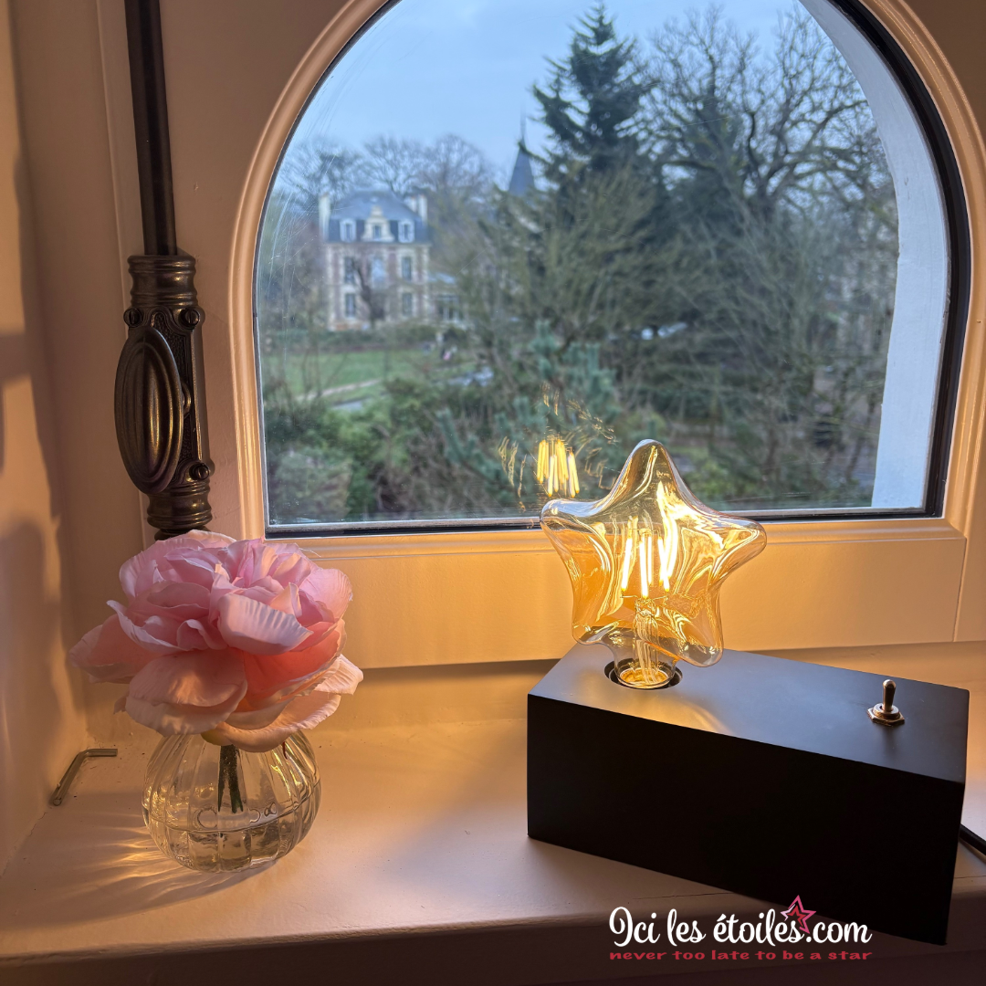 Ampoule étoile LED