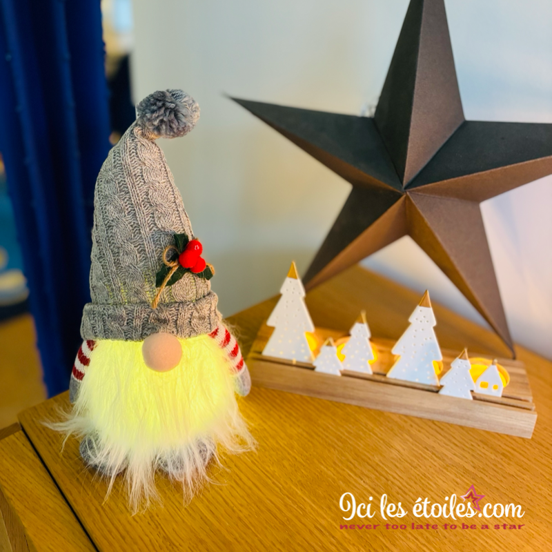 Lutin Lucien lumineux gris