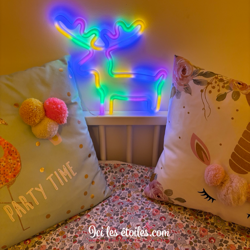 Néon Léon Rêne multicolore