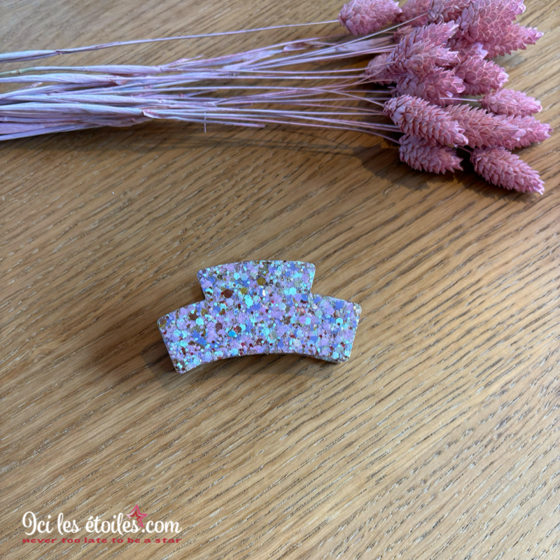 Pince à cheveux Paillettes douceur